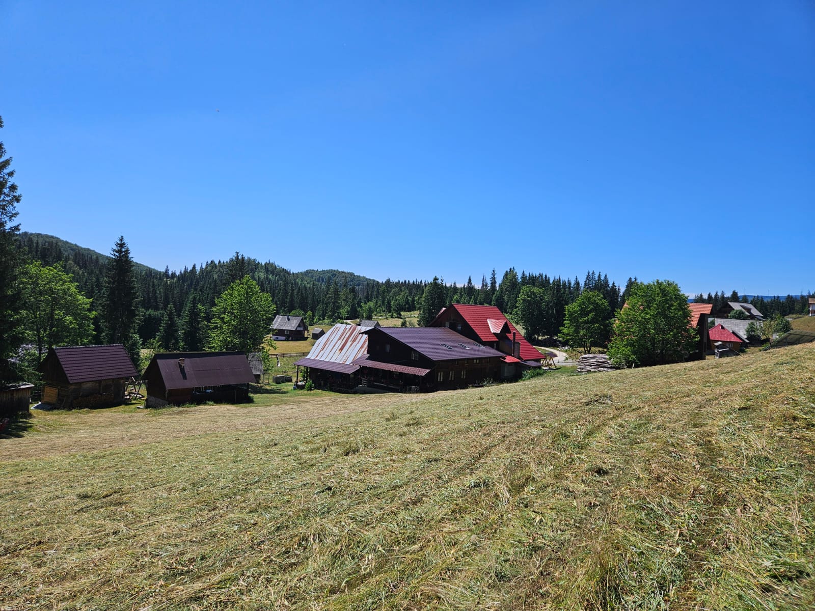 Pensiunea Scărișoara