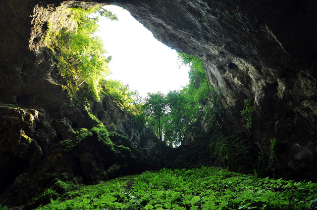 Peștera Avenu de sub Zgurăști